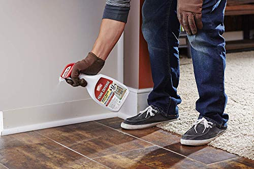 Home Defense Max Insect Killer, 24-oz.