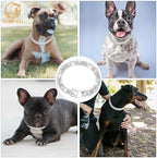Silver Dog Chain Collar Diamond Cuban Link Dog Collar 13mm Wide Dog Necklace Metal Cat Chain Pet Crystal Collar Jewelry Accessories for Small Medium Large Dogs Cats(14inch)
