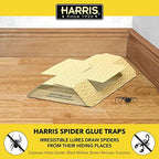 Harris Spider Glue Traps, Pesticide Free (2-Pack), Kills Brown Recluse, Hobo Spider, Black Widow and More