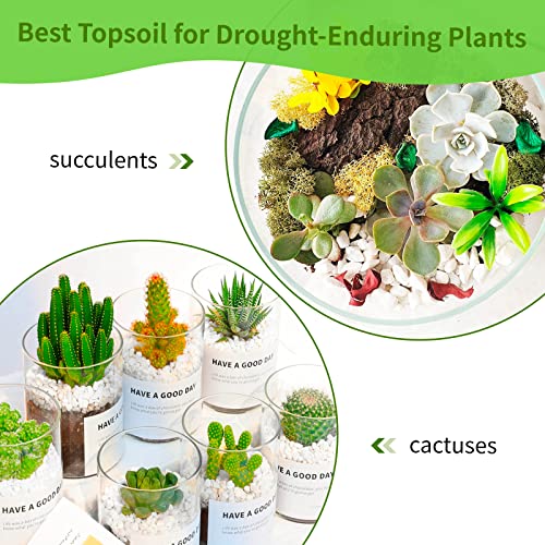 Perlite for Plants - 15QT Organic Perlite Bulk for Indoor Plants, Succulents, Vegetables, Garden, Horticultural Perlite for Soil, Potting Soil Mix, Root Cuttings, Seed Starting…