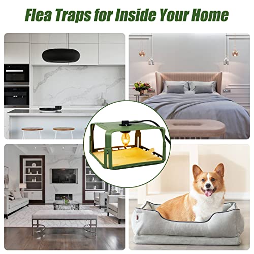 2 Pack Flea Traps for Inside Your Home with 4 Sticky Pads & 6 Bulbs & 2 Electric Wires, Flea Killer Indoor Bed Bug Trap Pest Control, Safe & Harmless, Friendly to Pets & Kids-Adjustable Height, Green