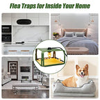 2 Pack Flea Traps for Inside Your Home with 4 Sticky Pads & 6 Bulbs & 2 Electric Wires, Flea Killer Indoor Bed Bug Trap Pest Control, Safe & Harmless, Friendly to Pets & Kids-Adjustable Height, Green