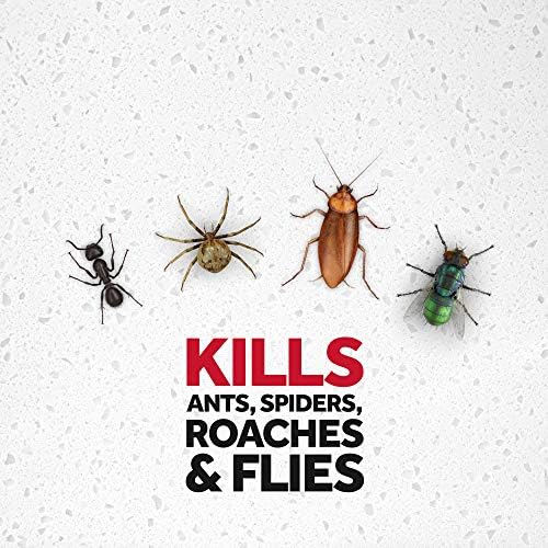 Raid Multi Insect Killer, Orange Breeze 15 Ounce (Pack of 1)