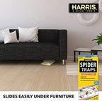Harris Spider Glue Traps, Pesticide Free (2-Pack), Kills Brown Recluse, Hobo Spider, Black Widow and More