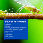 BioAdvanced 701901 12-Month Tree and Shrub Protect and Feed Insect Killer and Fertilizer, 32-Ounce, Concentrate