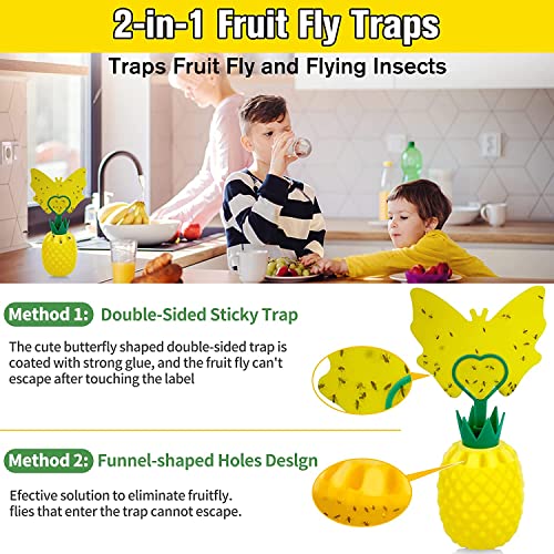 Fruit Fly Trap for Indoors, New Upgrade Fruit Fly Killer Gnat Traps for House Indoor, Non-Toxic Reusable Fly Catcher Gnat Killer with Yellow Sticky Pads & Attractant for Home, Kitchen, Plant (2 Pack)
