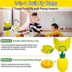 Fruit Fly Trap for Indoors, New Upgrade Fruit Fly Killer Gnat Traps for House Indoor, Non-Toxic Reusable Fly Catcher Gnat Killer with Yellow Sticky Pads & Attractant for Home, Kitchen, Plant (2 Pack)