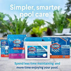 Clorox® Pool&Spa™ Swimming Pool Scale, Metal & Stain Control, Prevents Metal Stains and Scale Formation, Removes Metal Stains, 1 Quart (Pack of 1)