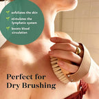 Bare Botanics Dry Body Brush for Lymphatic Drainage - Improve Circulation w/Gentle Exfoliation for Soft Skin - Ergonomically Designed w/Elastic Strap - Soft but Firm Natural Boar Bristles