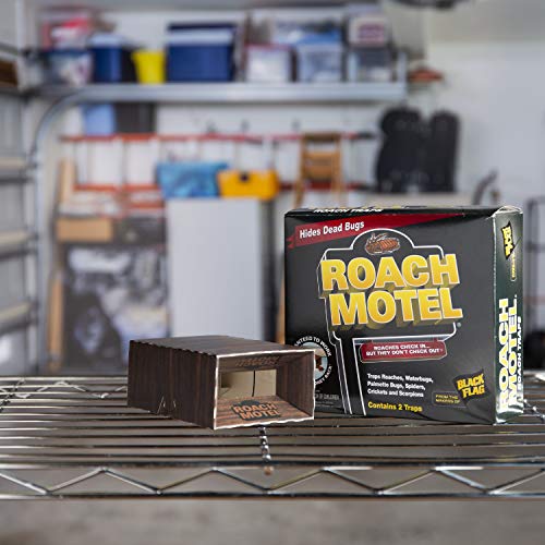 Black Flag Roach Motel Insect Trap, 12-Pack