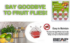 BEAPCO 10036 7 Red 6-Pack Premium Fruit Fly 6 Pre-Filled Trap Flies Indoors | Easy Effective and Safe to Use | Food-Based Lure/Bait Catcher