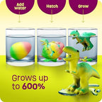 Dinosaur Hatching Surprise Easter Eggs for Kids - 6 Pack - Grows 600% - Dino Egg Toys for Boys & Girls Age 3-8 - Gift Ideas, Party Favors, Easter Basket Stuffers - Gifts for Girls Ages 3 4 5 6 7 8