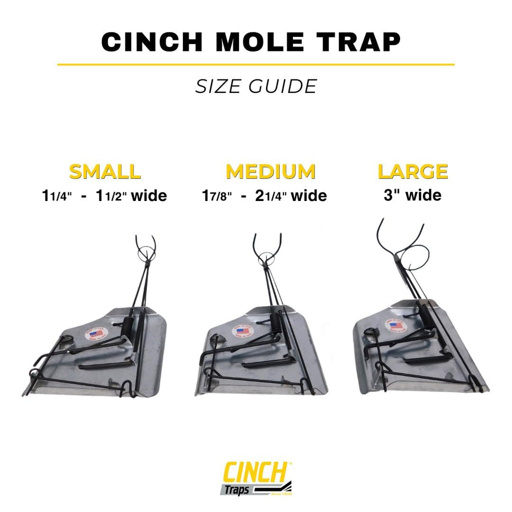 Cinch Mole Trap + Tunnel Marking Flags (Medium) - Precision-Engineered Mole Traps That Kill Best for Effective Mole Elimination in Lawns