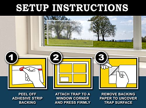 MaxGuard Window Fly Traps (60 XL Traps) Catch & Kill Houseflies, Flying Insects & Bugs. Non-Toxic Sticky Glue Traps Fly Killer Clear Strip Insect Catcher Safe No Zapping with Zapper |