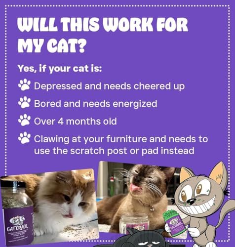 Cat Crack Organic Catnip, 100% Natural Cat Nips Organic Blend That Energizes and Excites Cats, Safe Catnip Treats Used for Cat Play, Cat Training, & New Organic Catnip Toys for Cats(1 Gallon Organic)