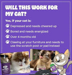 Cat Crack Organic Catnip, 100% Natural Cat Nips Organic Blend That Energizes and Excites Cats, Safe Catnip Treats Used for Cat Play, Cat Training, & New Organic Catnip Toys for Cats(1 Gallon Organic)