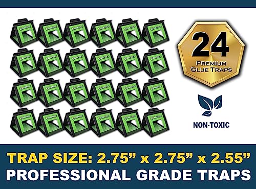 MaxGuard Bed Bug Traps (24 Traps) Non-Toxic Bed Bug Detection Traps. Detects, Traps, and Kills Bed Bugs and Crawling Insects Such as Spiders, Crickets, Cockroaches and Ants