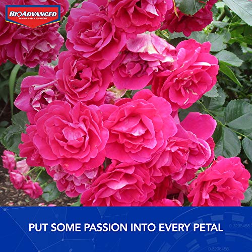 BioAdvanced Dual Action Rose and Flower Insect Killer, Ready-to-Use, 24 oz