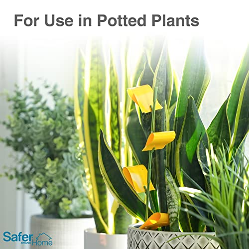 Safer Home SH5026-3SR Houseplant Sticky Stake Insect Traps for Indoor Plants - 48 Traps Included - Controls Aphids, Whiteflies, Fruit Flies, Fungus Gnats, and Other Insects