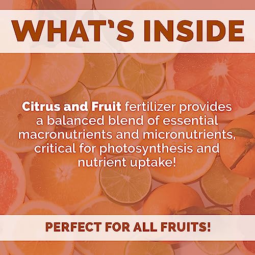 Bloom City's Organic Citrus & Fruit Fertilizer for Fruit Trees - Citrus Tree Fertilizer for Potted Trees - Perfect Lemon Tree Fertilizer, Quart (32 oz)