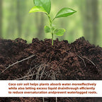 Premium Organic Coconut Coir Bricks - 6 Pack of 13.8 Gallon Bricks for Planting, Gardening, and Potting Soil Substrate. Low EC & pH Balanced 100% Organic Peat Moss Mix with Fiber from Coconut Husks