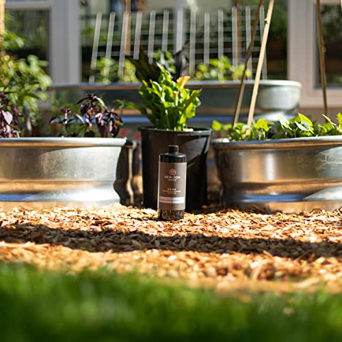 Heirloom Roses Founder’s Fish Fertilizer - Plant Food for Plants, Organic Liquid Emulsion Fertilizer, Garden Fertilizers for Rose Flower and Tomato Outdoor Gardening