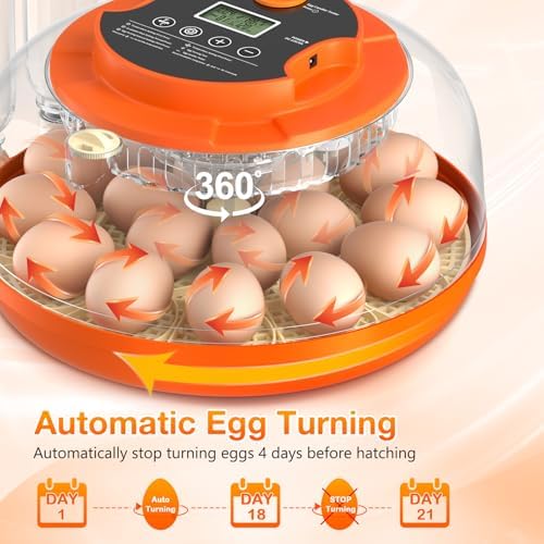18 Egg Incubator with Automatic Egg Turning and Humidity Control, 360° View Incubators for Hatching Eggs, Incubator for Chicken Eggs, Ducks, Goose, Pigeon, Quail, Parrot Eggs (Orange)