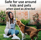 Victor M809 Mouse and Rat Repellent Natural Peppermint Non-Toxic Spray for Indoor and Outdoor Use Ready to Use – 32 fl oz