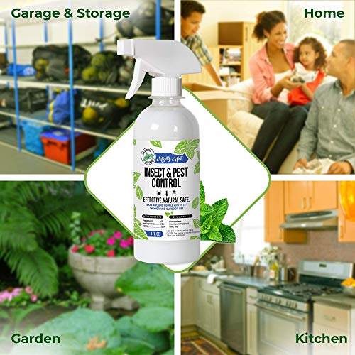 8oz Insect and Pest Control Peppermint Oil - Natural Spray for Spiders, Ants, and More (2)
