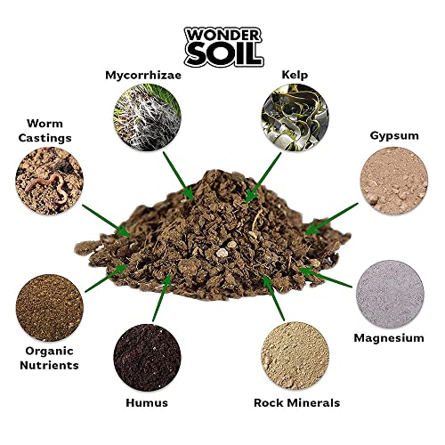 WONDER SOIL | Organic Cactus & Succulent Soil (12 Quarts). Fast Draining Ready to Plant Coco Coir Loaded w/Nutrients | 3 LBS Expands to 12 Quarts | Incl Worm Castings & Nutrients