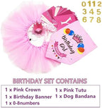 ADOGGYGO Dog Birthday Hat Bandana Girl - Puppy Birthday Party Supplies - Pink Puppy Tutu Hat Scarf Banner Set for Small Dogs (Small)