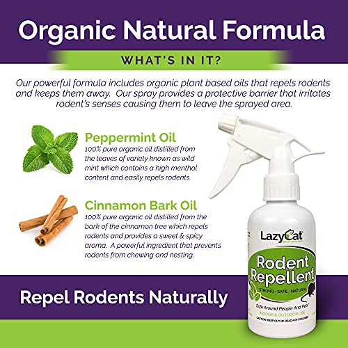 Peppermint Oil Spray for Rodents Plus Cinnamon Oil - MAX Power Mouse Repellent for Home RV Campers Boats Car Engines – Repel Mice and Rats from House Non-Staining 2X Strength (2 Pack) by Lazy Cat