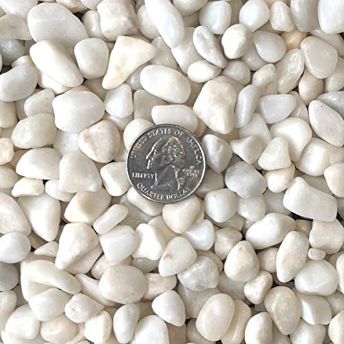 Midwest Hearth Natural Decorative Polished White Pebbles 3/8" Gravel Size (10-lb Bag)