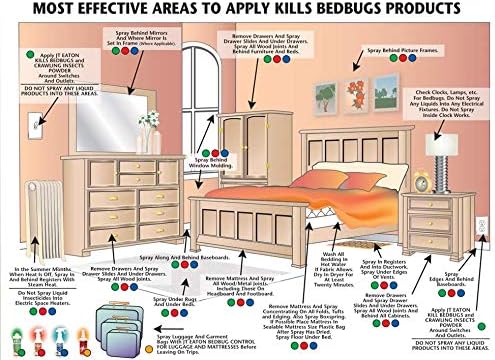 JT Eaton Kills Bedbugs 204-O1G Bed Bug Killer Ultra, Non-Staining Oil Based Insect Spray for Indoors (1 gal)