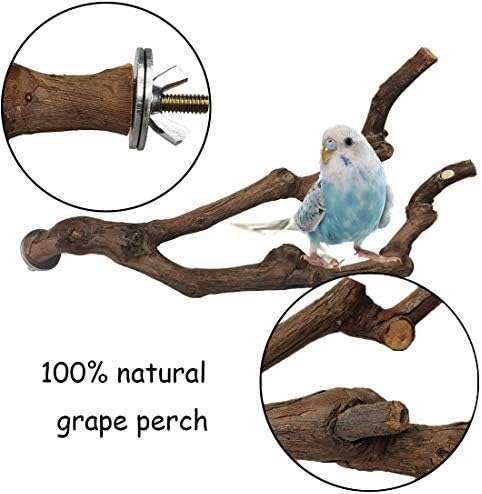 kathson Natural Parrot Perch Bird Stand Pole Wild Grape Stick Paw Grinding Fork Parakeet Climbing Standing Branches Toy Chewable Cage Accessories for Small Budgies Cockatiels Lovebirds 3PCS