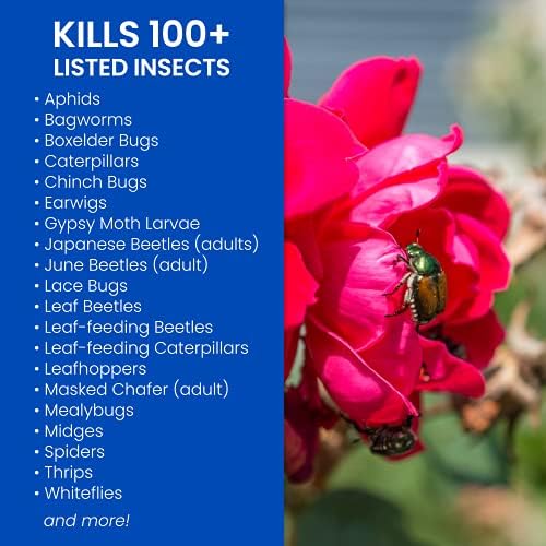 BioAdvanced Rose and Flower Insect Killer, Ready-to-Use, 24 oz (Pack of 2)