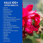 BioAdvanced Rose and Flower Insect Killer, Ready-to-Use, 24 oz (Pack of 2)