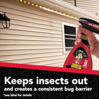 Raid Max Perimeter Protection Insecticide Spray, Indoor & Outdoor Use, 30 fl oz