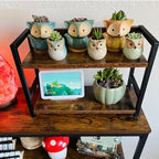 RUNADI Succulent Pots, Ceramic Flower Planter Pot with Bamboo Tray, Small Animal Succulent Planters, Cute Cactus Flower Pot/Garden Planters, Office Home Decoration Pack of 4