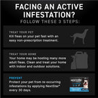 NEXTSTAR Flea and Tick Prevention for Dogs, Repellent, and Control, Fast Acting Waterproof Topical Drops for Small Dogs, 1 Month Dose