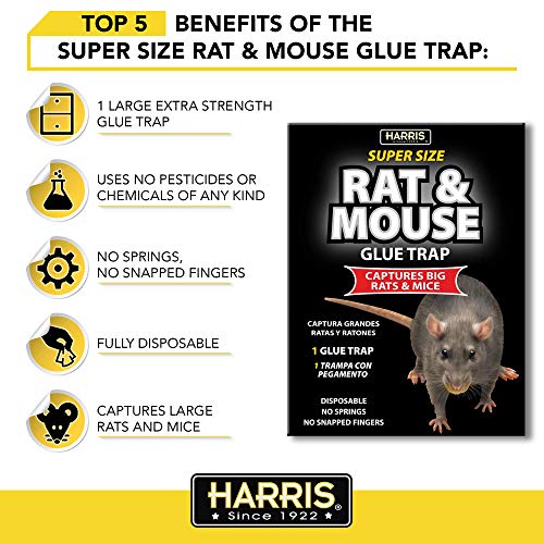 HARRIS Super Size Rat Glue Trap Qty3 Capture Big Rats and Mice