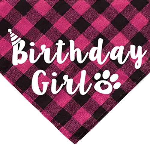 Cat Birthday Party Pack - Outfits, Bandana, Hat, Crown, Bow Tie, Number Banner, Meow & Cat Balloons for Kitten's Special Day