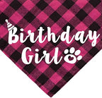Cat Birthday Party Pack - Outfits, Bandana, Hat, Crown, Bow Tie, Number Banner, Meow & Cat Balloons for Kitten's Special Day