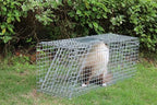 Animals Trap Cage Cover, Trap Cage Cover with Mesh Window for 1-2 Door Humane Animal Trap Cage 32 x 10 x 12inch, Cage not Included (Trap Cage+ Glover)