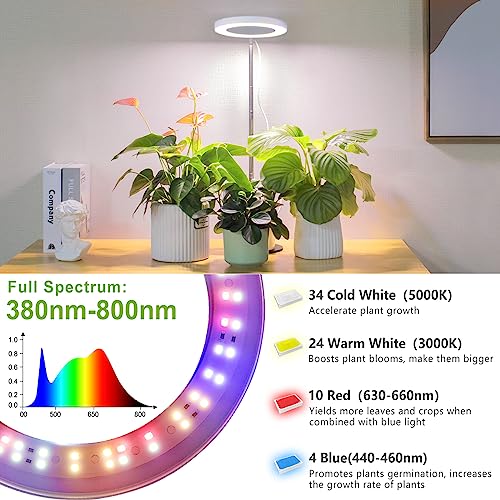 LORDEM Grow Light, LED Plant Light for Indoor Plants Growing, Full Spectrum Desk Growth Lamp with Automatic Timer for 4H/8H/12H, 4 Dimmable Levels, Height Adjustable 9.8"-30.6", Pack of 2