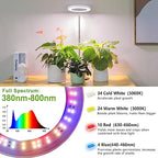 LORDEM Grow Light, LED Plant Light for Indoor Plants Growing, Full Spectrum Desk Growth Lamp with Automatic Timer for 4H/8H/12H, 4 Dimmable Levels, Height Adjustable 9.8"-30.6", Pack of 2