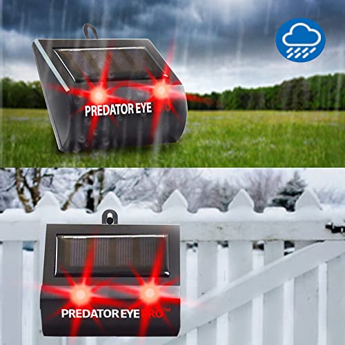 ASPECTEK Predator Eye PRO 4600sq ft Coverage w/Kick Stand Solar Powered Predator Light Deterrent Light Night Time Animal Control - 2 Pack