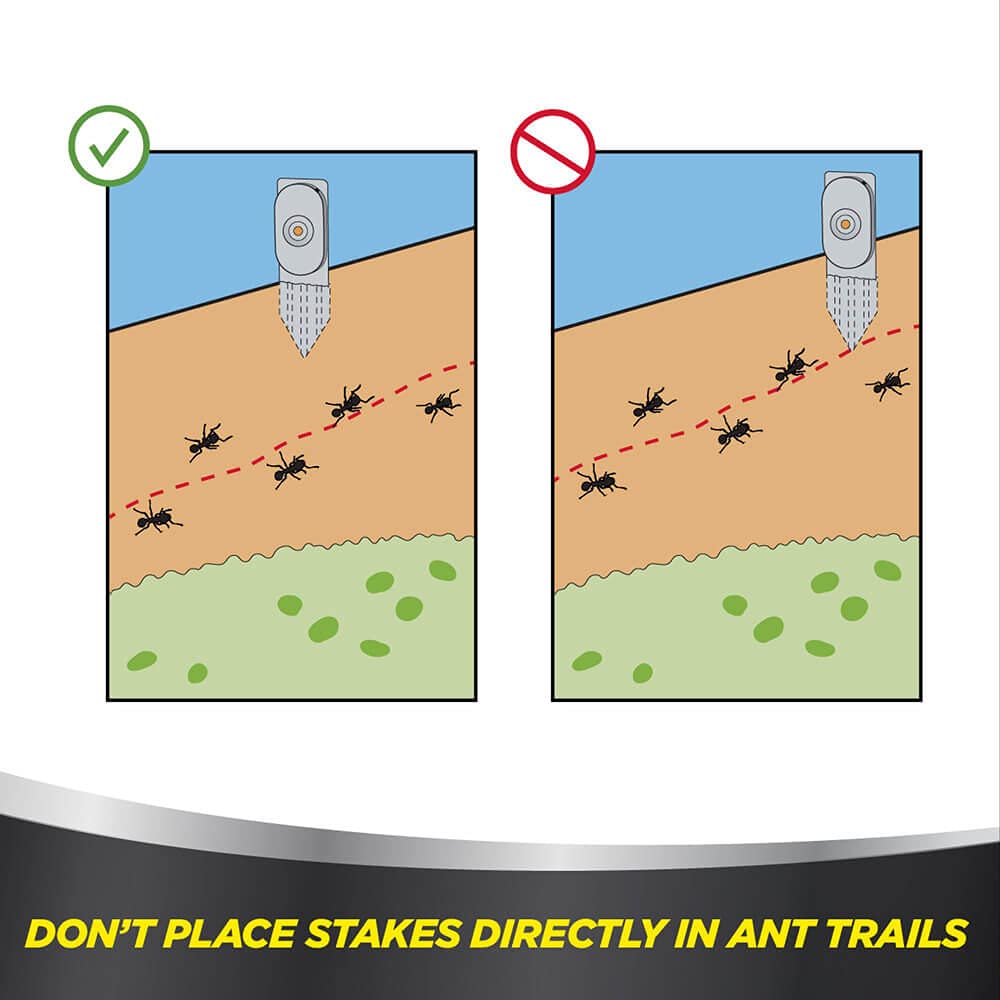 Amdro Kills Ants Ant Bait 0.16 oz.