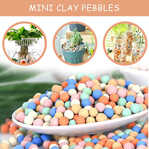 CARURBODY 5LBS Ceramsite Clay Pebbles for Orchid - Mini Leca Clay Pebble for Plants Drainage - Perfect Ceramsite Balls as A Soil Topper for Indoor Plants, Cacti Succulents Bonsai.