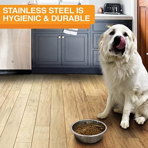 Neater Pet Brands Stainless Steel Dog and Cat Bowls (2 Pack) Neater Feeder Medium Deluxe Extra Replacement Bowl (Metal Food and Water Dish) (5 Cup)